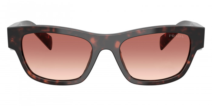 Prada Symbole PR B09S 17N50L 52 - Root Tortoise