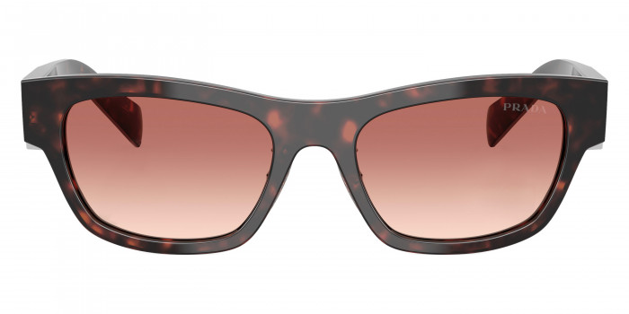 Prada Symbole PR B09SF 17N50L 53 - Root Tortoise