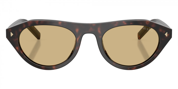 Prada PR B15S 17N70R 51 - Root Tortoise