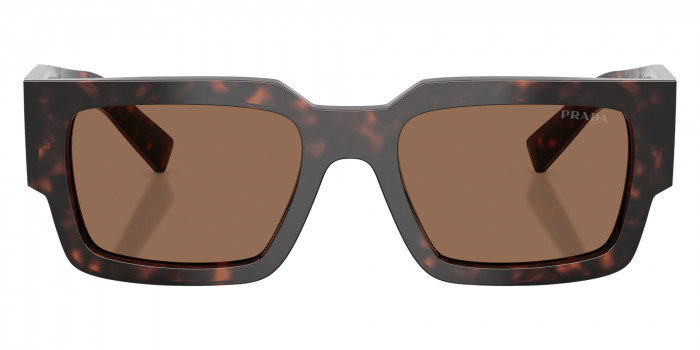 Prada PR B17S 17N06B 54 - Root Tortoise