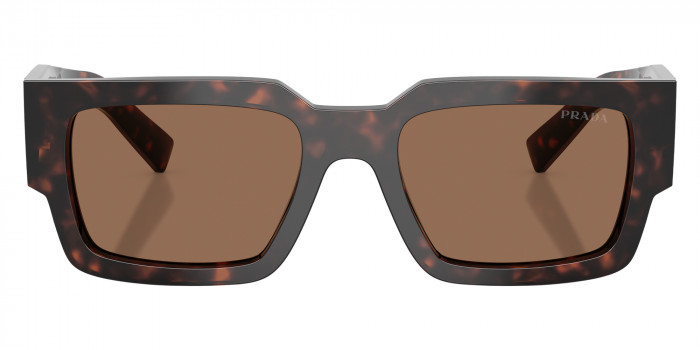 Prada PR B17SF 17N06B 55 - Root Tortoise