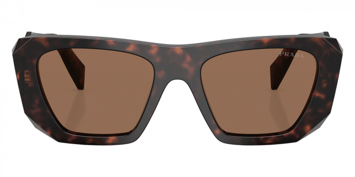 Prada PR B18S 17N06B 53 - Root Tortoise