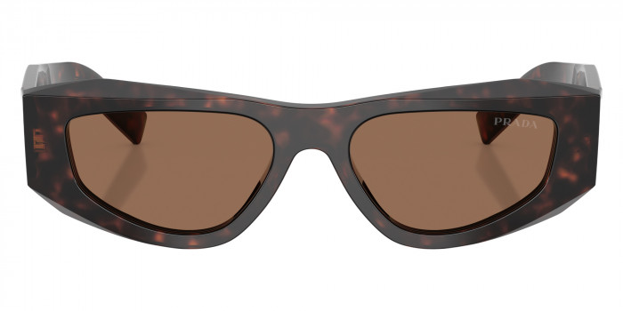 Prada PR B19S 17N06B 52 - Root Tortoise