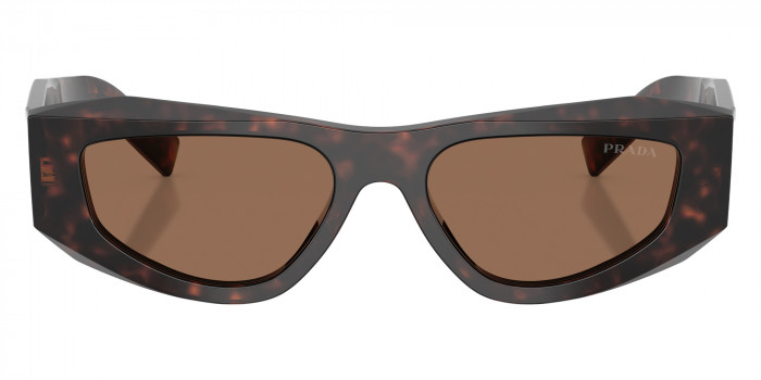 Prada PR B19SF 17N06B 53 - Root Tortoise