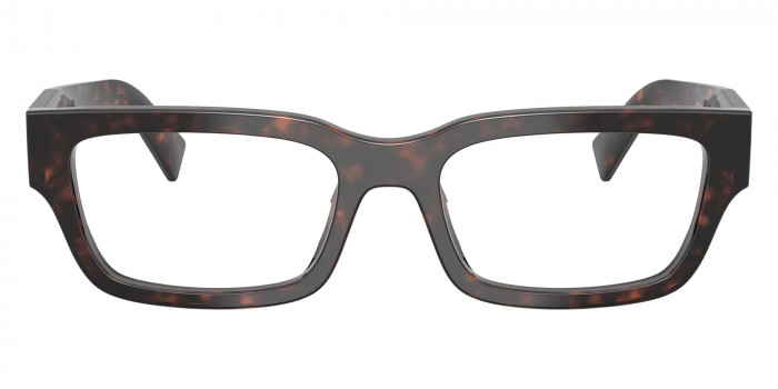 Prada PR C02VF 17N1O1 55 - Root Tortoise