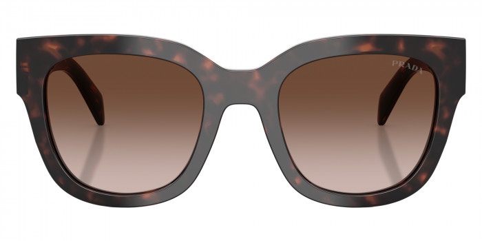 Prada PR C04SF 17N80A 53 - Root Tortoise