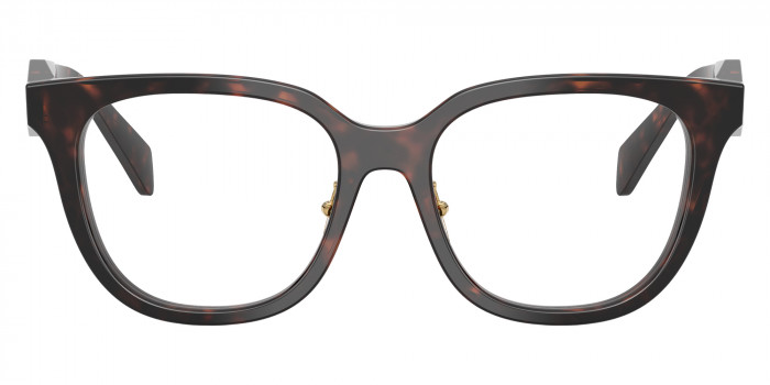 Prada PR C11VF 17N1O1 53 - Root Tortoise