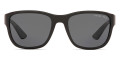 Black / Polarized Gray