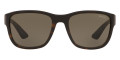 Havana Demi Shiny / Brown