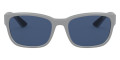 Light Gray Demishiny / Dark Blue
