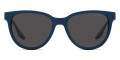 Blue / Dark Gray