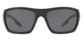 Black / Polarized Gray