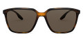 Havana Demishiny / Brown