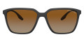 Black Rubber / Polarized Brown Gradient