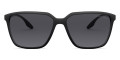 Black Demishiny / Polarized Gray