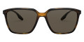 Havana Demishiny / Brown