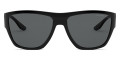 Matte Black / Polarized Dark Gray