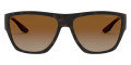 Matte Havana / Polarized Brown Gradient