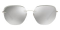 Silver / Light Gray Mirrored Silver