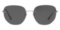 Gunmetal / Gray