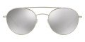 Matte Silver / Light Gray Mirrored Silver
