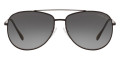 Matte Black / Polarized Gray Gradient