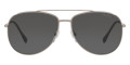 Gunmetal / Dark Gray