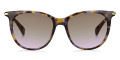 Violet Havana / Brown Shaded Violet