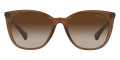 Transparent Brown / Gradient Brown