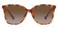 Shiny Havana / Gradient Brown Polarized