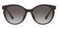 Shiny Black / Gradient Gray