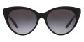 Shiny Black / Gradient Gray