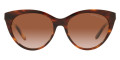 Shiny Striped Havana / Gradient Brown