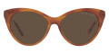 Shiny Yellow Havana / Brown