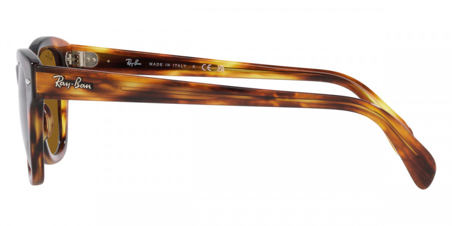 Color: Striped Havana (954/33) - Ray-Ban RB0707S954/3353