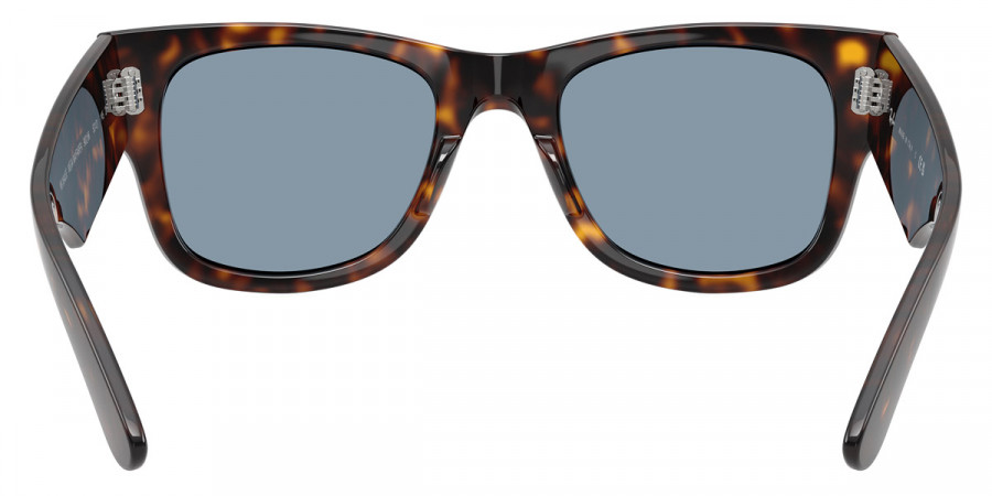Color: Havana (902/56) - Ray-Ban RB0840SF902/5652