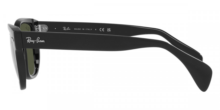 Ray-Ban™ - RB0880S