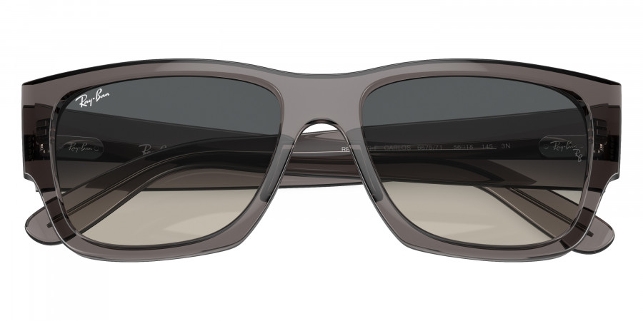 Ray-Ban™ - Carlos RB0947SF