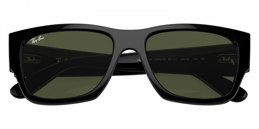 Ray-Ban™ - Carlos RB0947SF