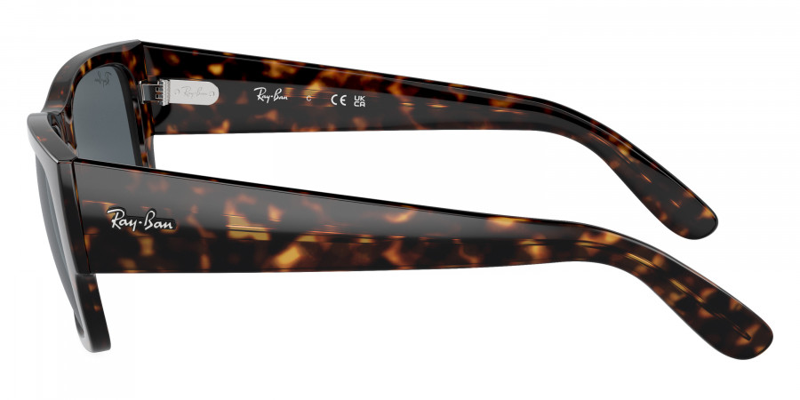 Ray-Ban™ - Carlos RB0947SF