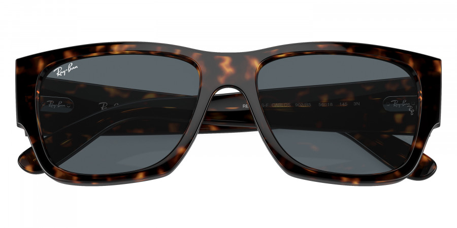 Ray-Ban™ - Carlos RB0947SF