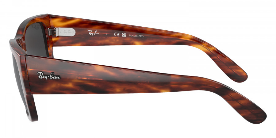 Ray-Ban™ - Carlos RB0947SF