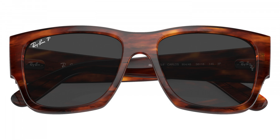 Ray-Ban™ - Carlos RB0947SF