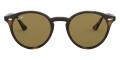 Light Havana / Dark Brown