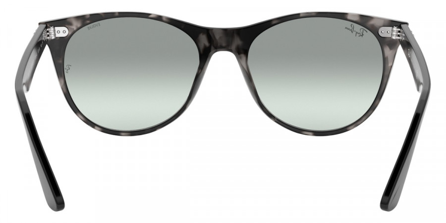 Ray-Ban™ - Wayfarer Ii RB2185