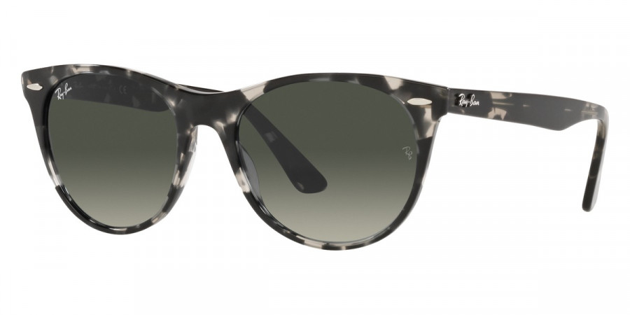 Ray-Ban™ - Wayfarer Ii RB2185