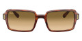 Striped Havana / Clear Gradient Brown