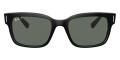 Black / G-15 Green Polarized