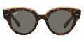 Havana On Transparent Brown / Dark Gray