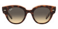 Havana On Transparent Pink / Brown Gradient